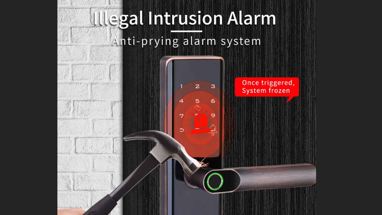 Intrusion Alarm